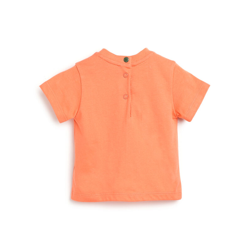 Boys Medium Orange Applique Short Sleeve T-Shirt image number 1